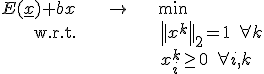 \begin{align}E(\underline{x})	+bx &\rightarrow&	\textrm{min}\\
\textrm{w.r.t}.	&&	\left|| x^{k}\right||_{2}=1\;\forall k \\
		&&x_{i}^{k}\geq0\;\forall i,k \end{align}
